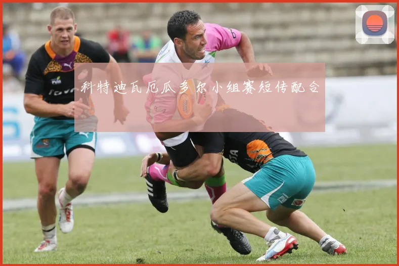 科特迪瓦厄瓜多尔小组赛短传配合