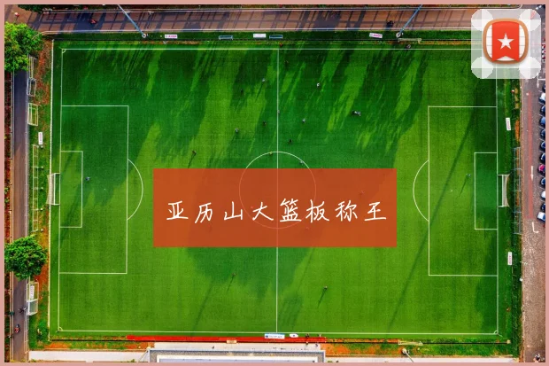 亚历山大篮板称王