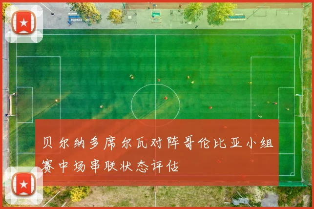 贝尔纳多席尔瓦对阵哥伦比亚小组赛中场串联状态评估