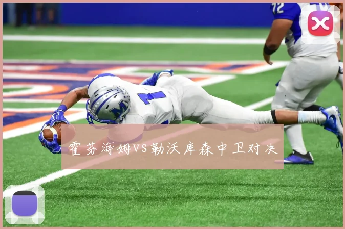 霍芬海姆vs勒沃库森中卫对决