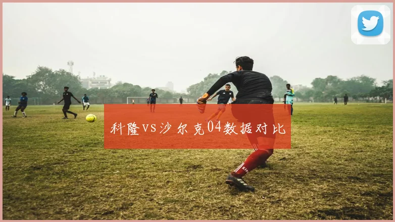 科隆vs沙尔克04数据对比