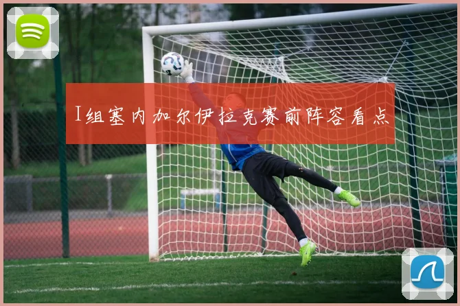 I组塞内加尔伊拉克赛前阵容看点