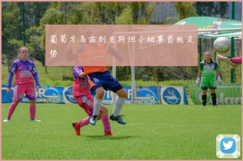 葡萄牙乌兹别克斯坦小组赛首轮走势